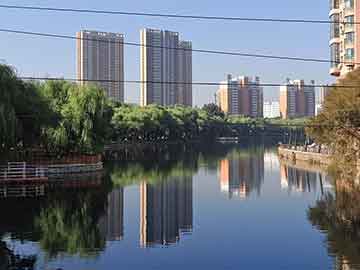 王中王管家婆一码一肖：场景聚合下的利益与风险特写