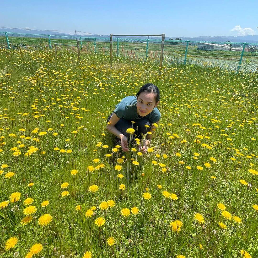 三肖免费2025资料大全正版资料：场景聚合与影响特写