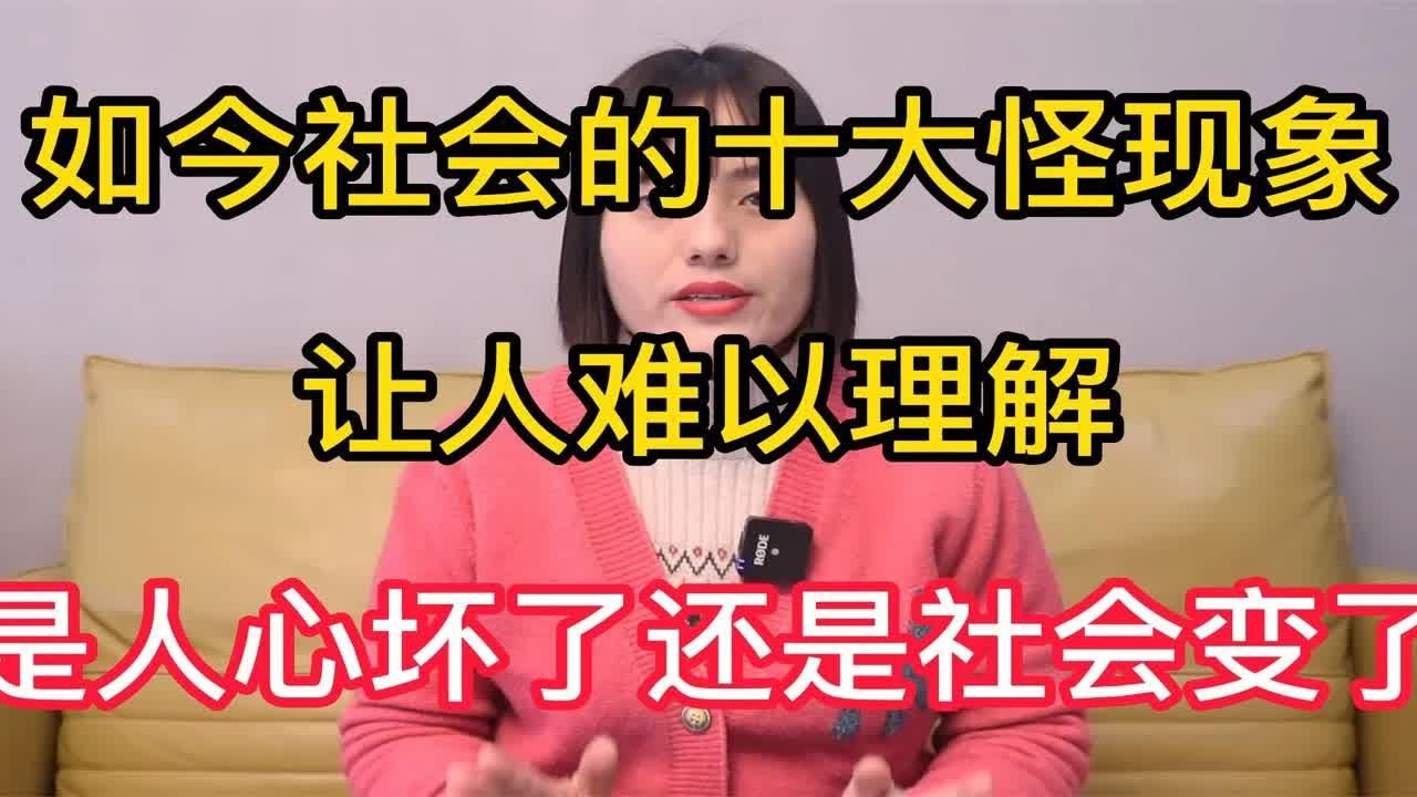 一朝见得暴公子白小姐打一生肖：生肖文化场景聚合