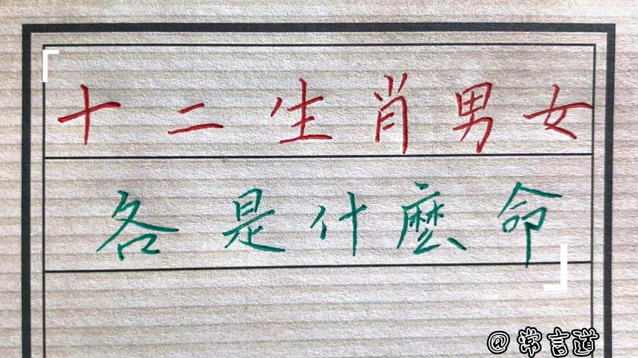 刘白小姐打一生肖和动物：一场生肖文化的场景聚合特写