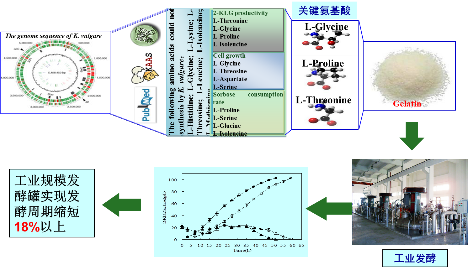 跑狗图库2O25玄机料特写：用户场景与潜在影响案例拆解