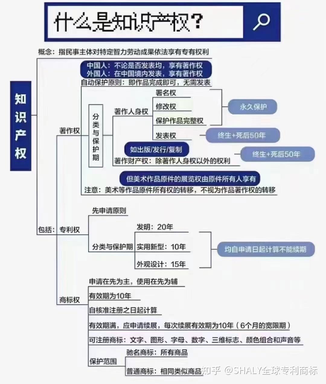 镜子白小姐打一生肖作业帮：玄机解析与场景特写