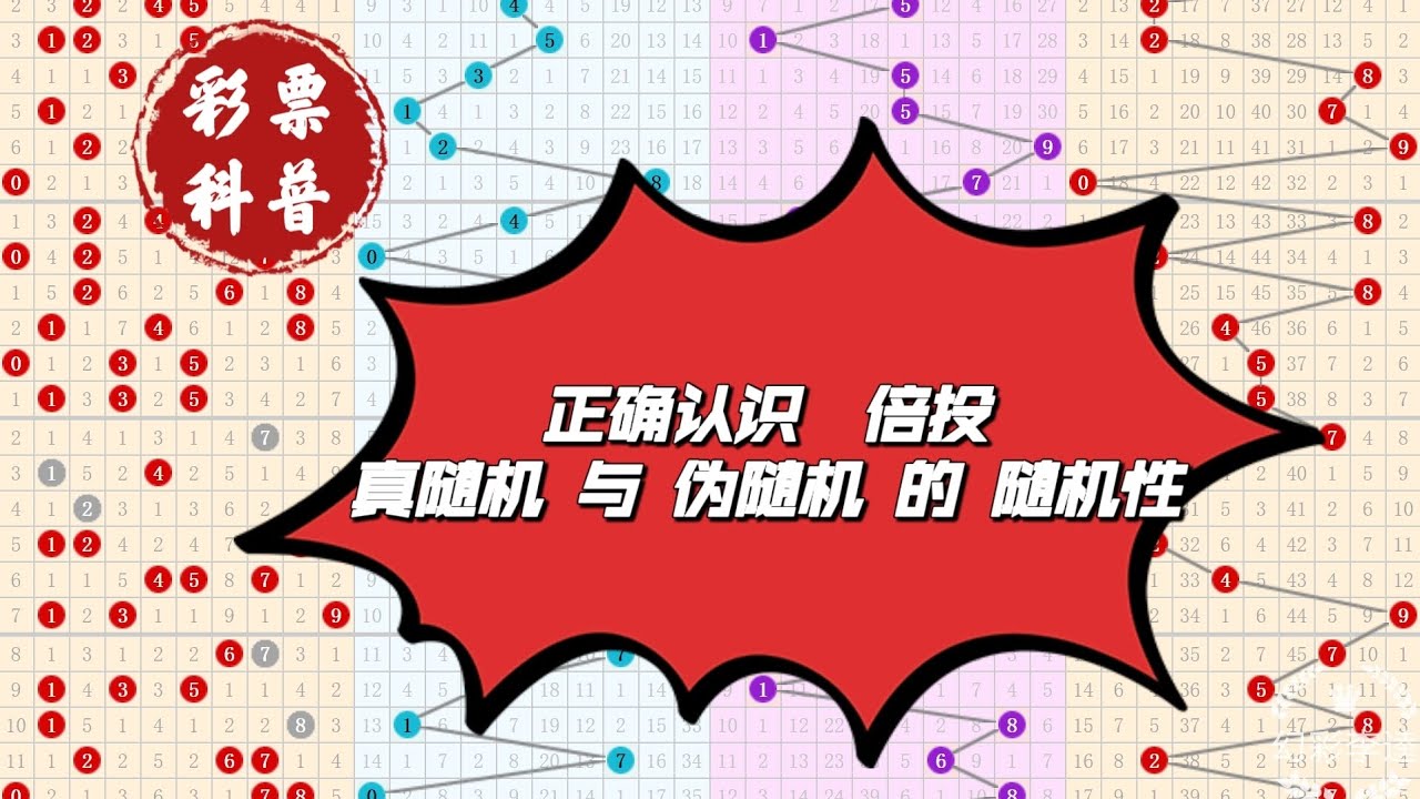 生肖计划香港期期准正版资料大：一场数字游戏的特写观察