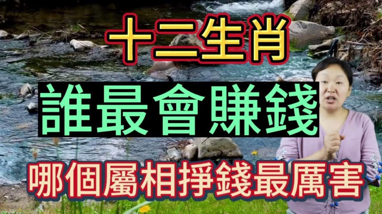 必中徐悲鸿白小姐打一生肖：一场场景聚合的文化解读