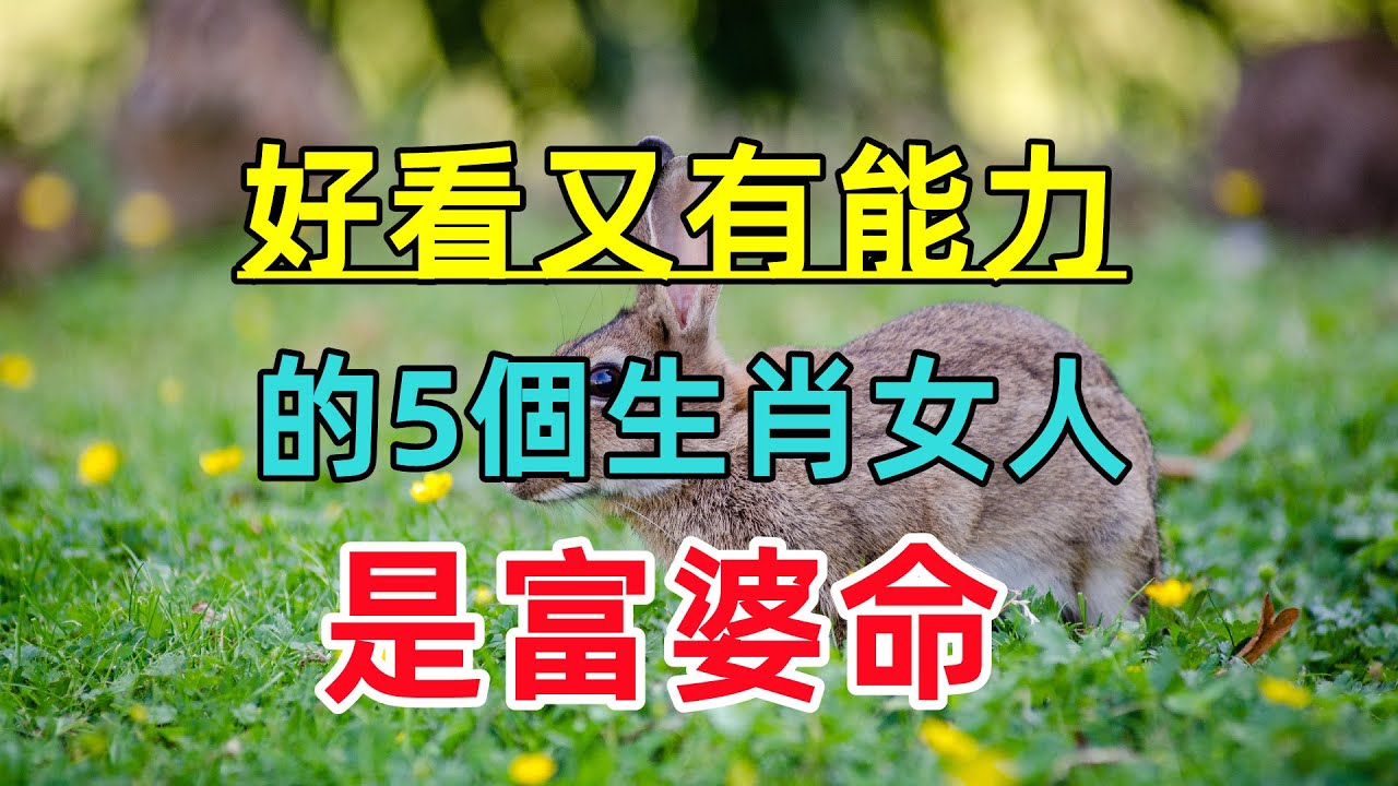 “求甚者的白小姐打一生肖”特写：文化密码与象征意义的多元勾勒