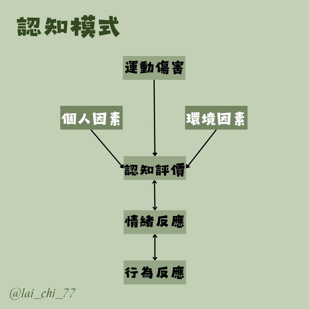 每月月考白小姐打一生肖：场景聚合下的文化解读特写