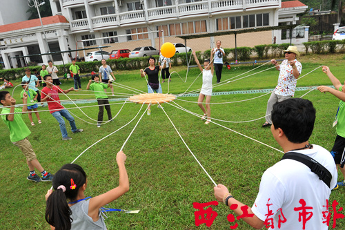 脚不治地白小姐打一生肖特写：民间趣味与生肖文化的交织