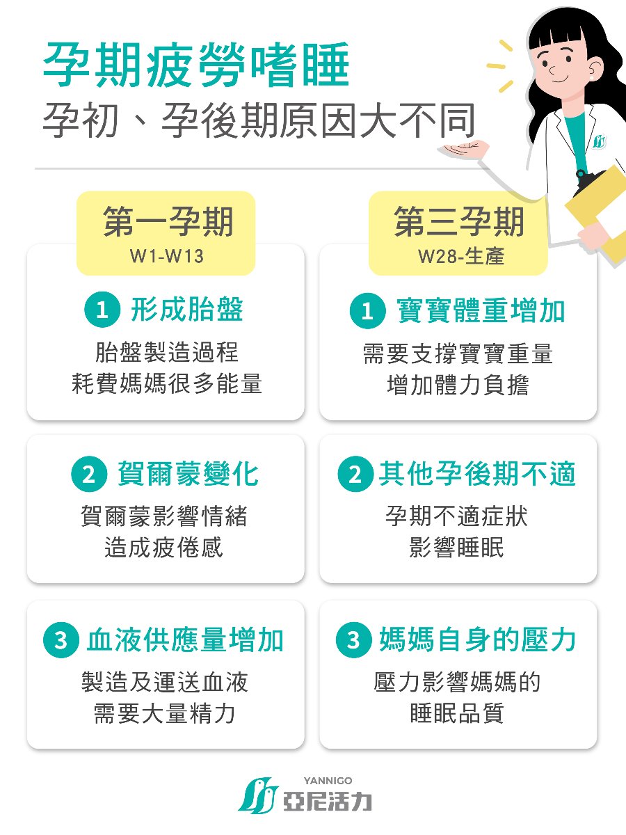 早起贪晚白小姐打一生肖：生活习惯与生肖运势的多元勾勒