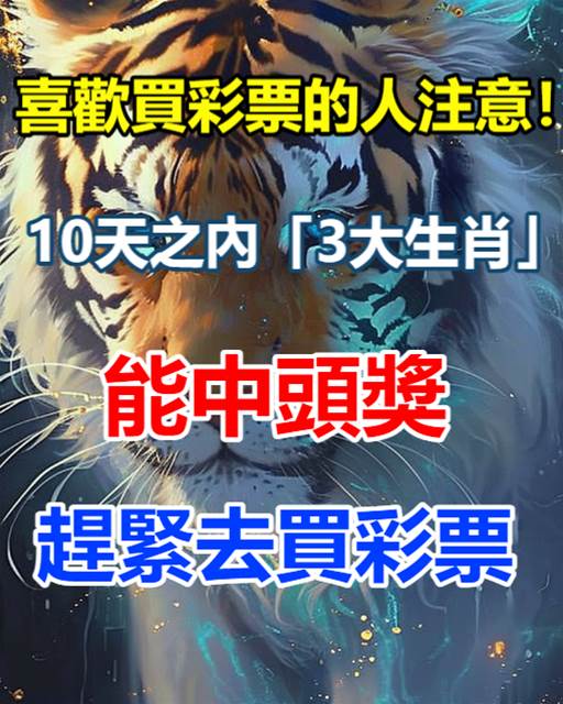 生肖计划2O25新奥历史开奖记录56期：场景聚合下的影响剖析