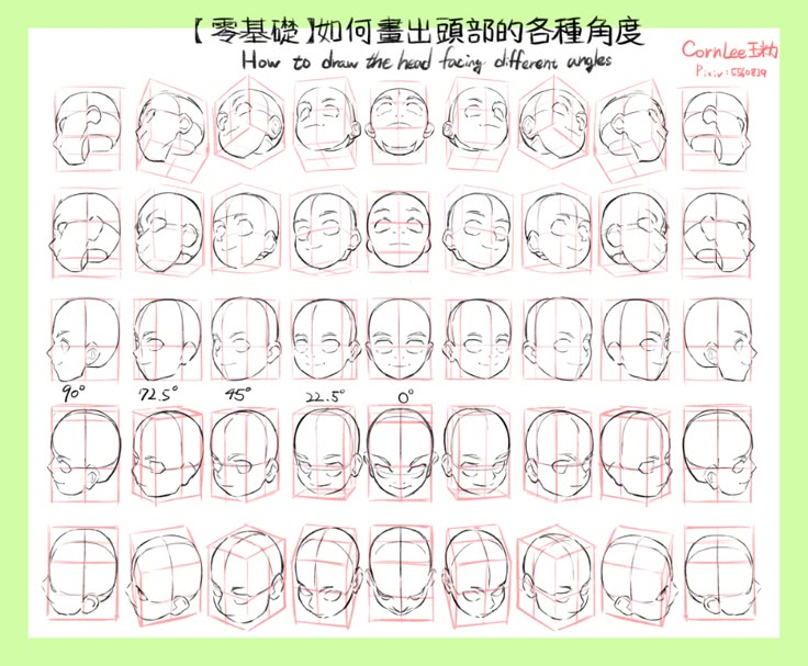 角度多少笔画：白小姐打一生肖的文化解码与趣味猜想