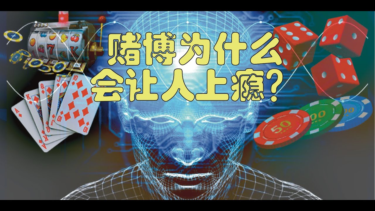 袈字拆解白小姐生肖的场景特写：文化溯源与民间解读