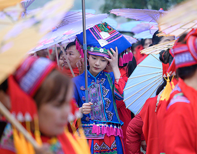 束手待毙解一生肖：一场文化场景的多元勾勒