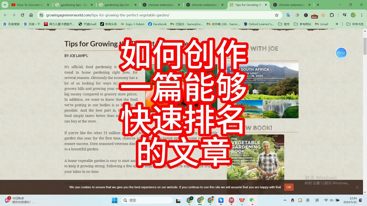 “白小姐一肖免费公布博君一肖舅很没办法17”：一场娱乐化解读的场景聚合