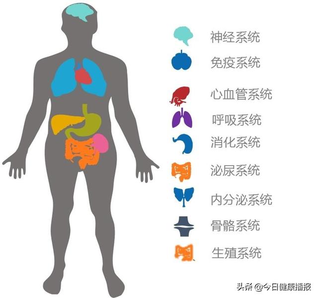 白小姐一肖免费公布澳门选一肖期期准75期：场景聚合下的多维解读