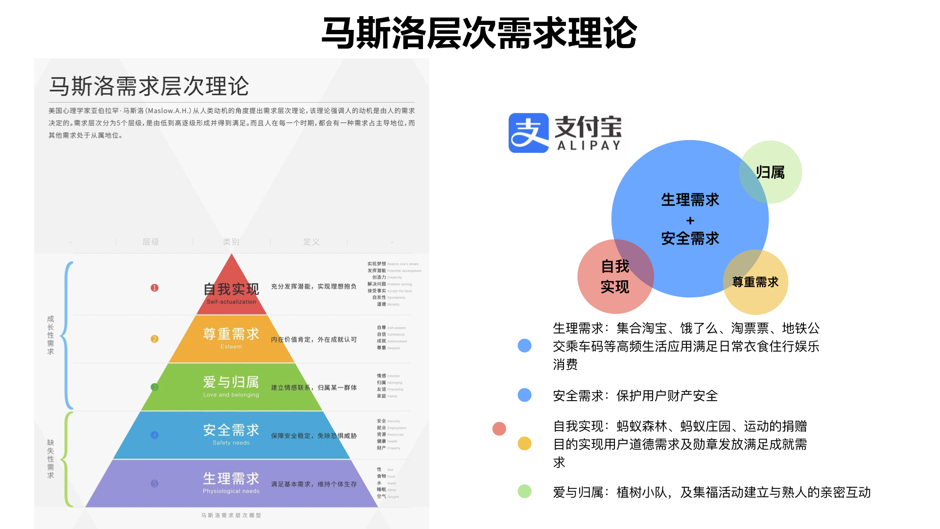 白小姐一肖免费公布特写：四肖迭一肖场景聚合与影响拆解