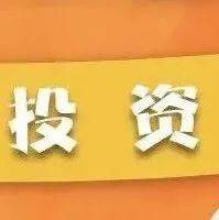 白小姐一肖免费公布124期一肖赢钱：一场数字迷雾的案例拆解