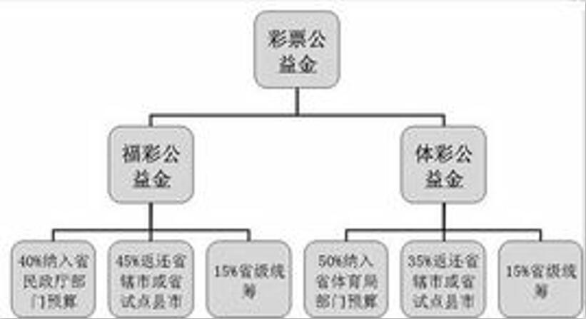 “一波中特澳门一肖一码100%准确明晚”：场景聚合与影响特写