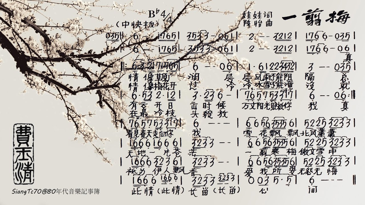 白小姐一肖免费公布12生肖：一枝梅的生肖场景聚合解读