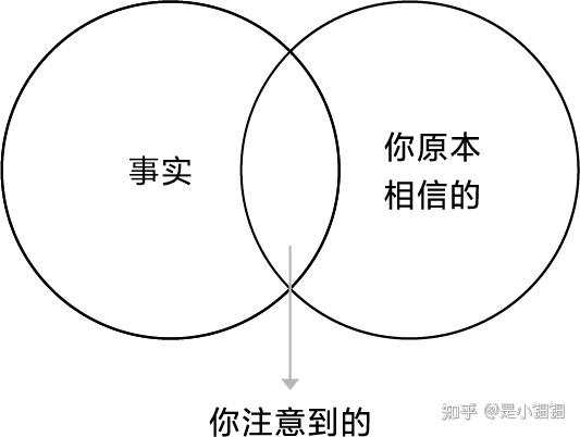 场景特写：多元视角勾勒澳门精选2O25一码一肖的未来可能