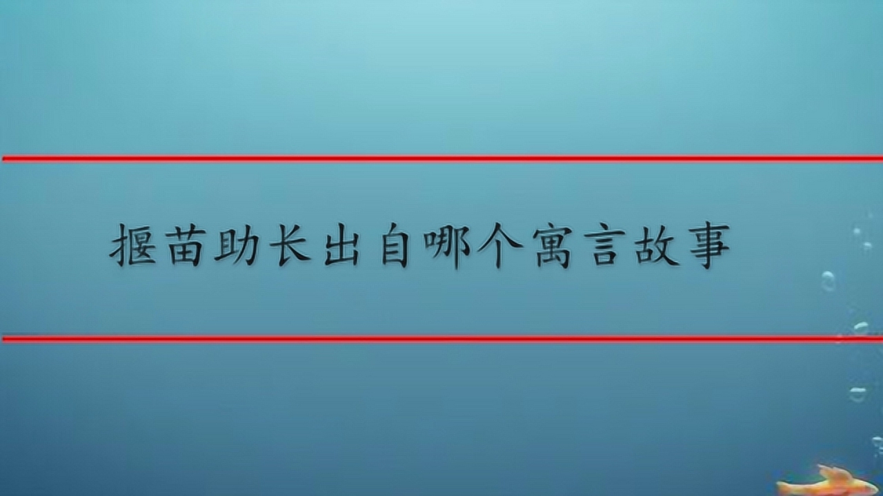 白小姐一肖免费公布拔苗助长12生肖打一肖：一场关于生肖预测的场景聚合