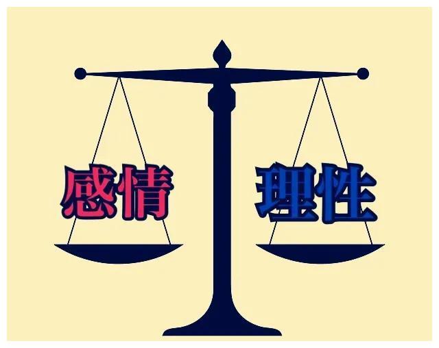 白小姐一肖免费公布115期特写：一场数字狂欢的深度案例拆解