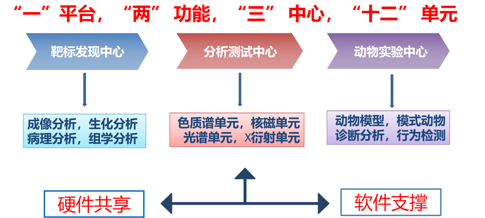 白小姐一肖免费公布小王八打一生肖l：一场场景聚合式解读