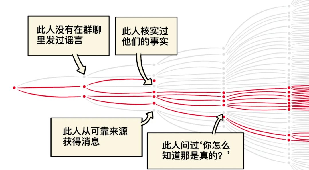 回溯与反思：白小姐一肖免费公布2017年第62期一肖中特特写