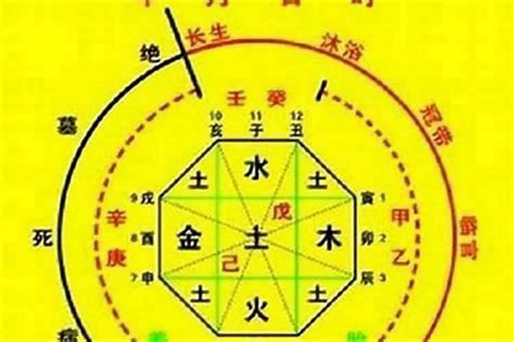 前世约定今世见白小姐生肖谜题特写：文化意象与命理解读