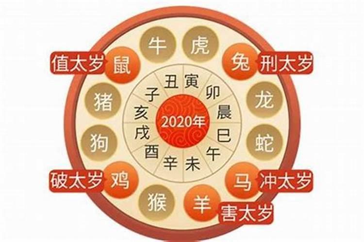 白小姐一肖免费公布：生肖洞悉与财富玄机场景聚合