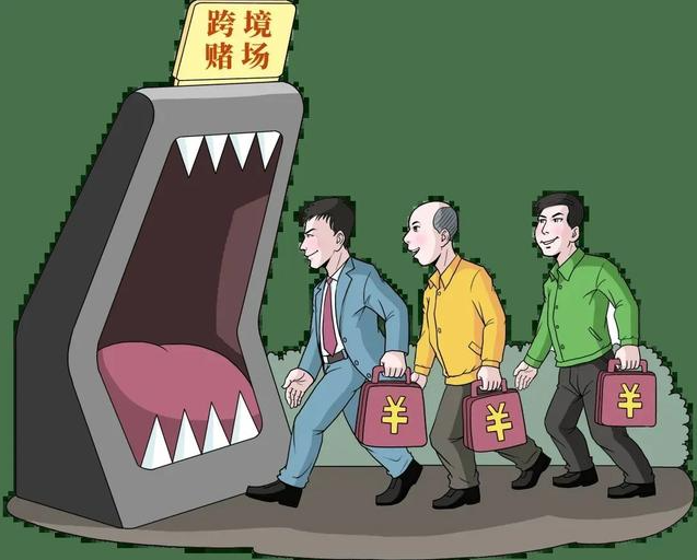 白小姐一肖免费公布一肖一肖图：场景聚合下的深度案例拆解