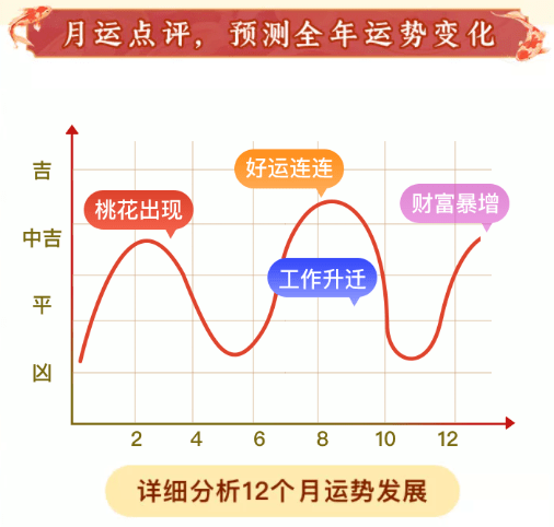 白小姐一肖免费公布才人肖100%打一生肖：一场概率的狂欢与解读