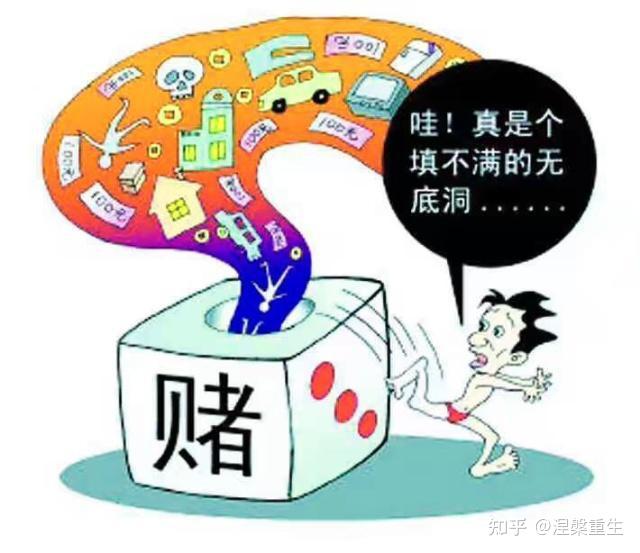 白小姐一肖免费公布4215777一肖一码：一场数字狂欢的案例拆解