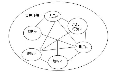 白小姐一肖免费公布弃暗投明打一肖百度知道：一场信息迷雾的特写访谈