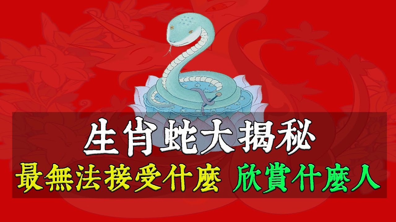 霹白小姐打一生肖：场景聚合下的文化解读与民俗猜想特写