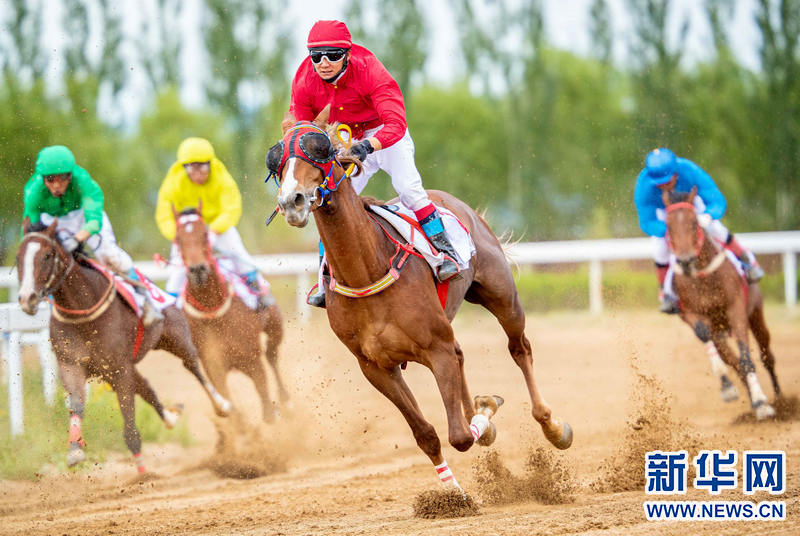 透视：三肖免费今晚澳门马，一场信息迷雾的案例拆解