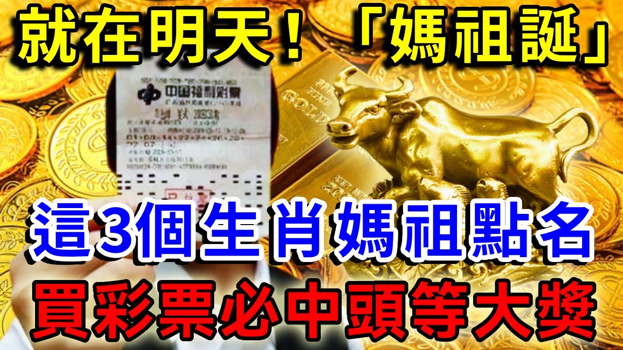 白小姐一肖免费公布：精准三肖选一背后的逻辑与场景聚合