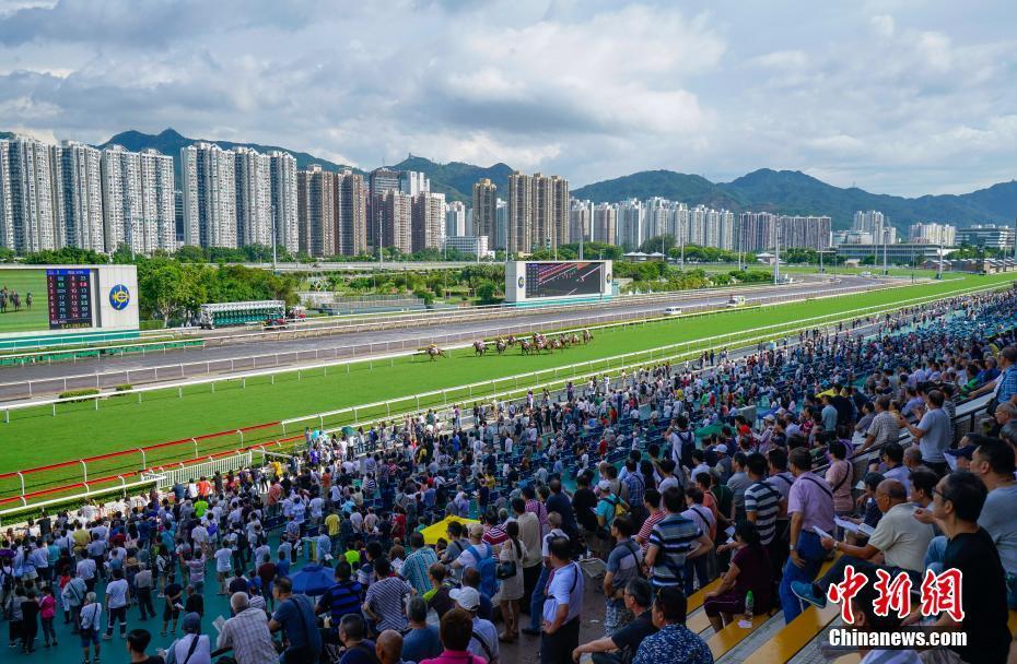 三肖免费香港期期准正版资料：场景聚合下的真相探寻