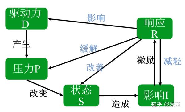 深度特写：白小姐一肖免费公布2017谜语解一肖中特场景聚合与影响剖析