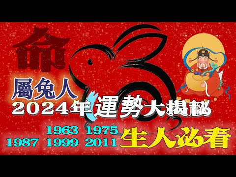 特写：白小姐一肖免费公布2011年生肖兔的一生——命理解读与社会缩影