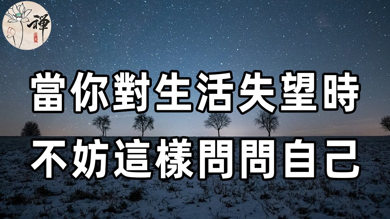 白小姐一肖免费公布18划打一肖：场景聚合下的彩票玄机特写