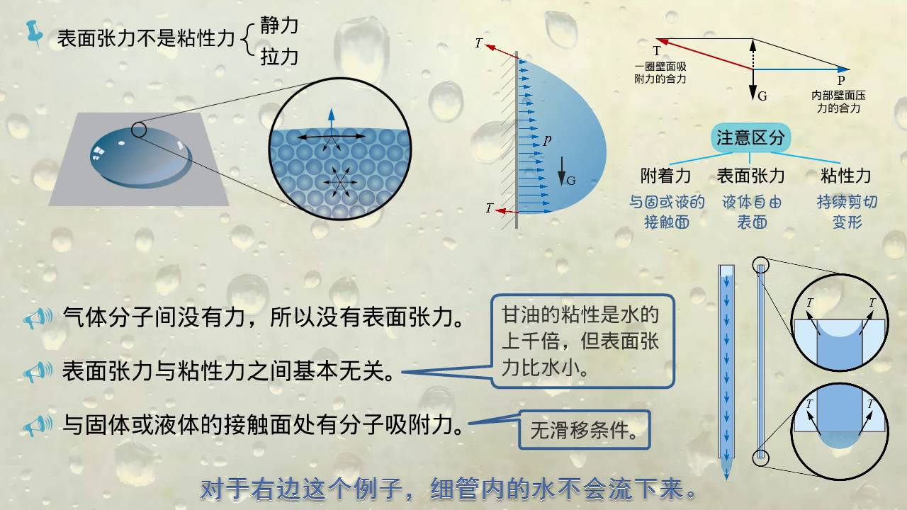 白小姐一肖免费公布博君一肖绝世盛宠15：场景聚合下的多元解读