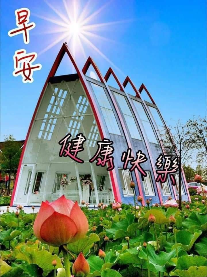 六肖精准澳门平特一肖公式法：场景聚合与深度案例拆解