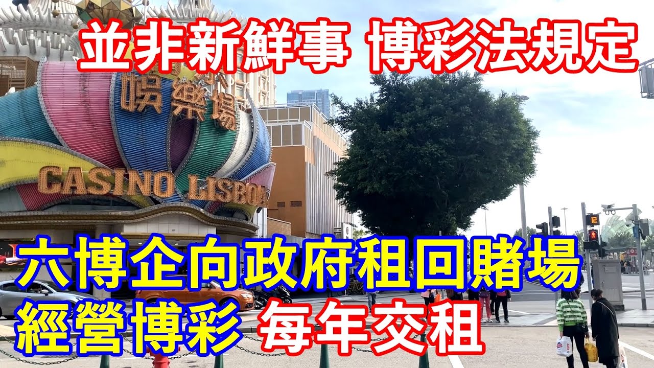 澳门最精准真正最精准龙门客栈特写：场景聚合与用户心声