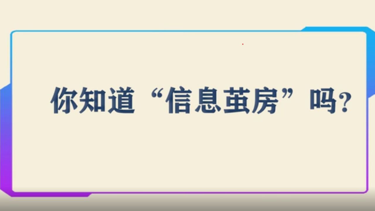 白小姐一肖免费公布博君一肖0128：一场场景聚合下的深度解读