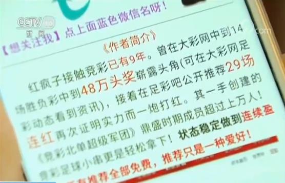 白小姐一肖免费公布澳门一肖100准：场景聚合下的多维冲击解析